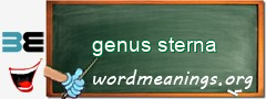 WordMeaning blackboard for genus sterna